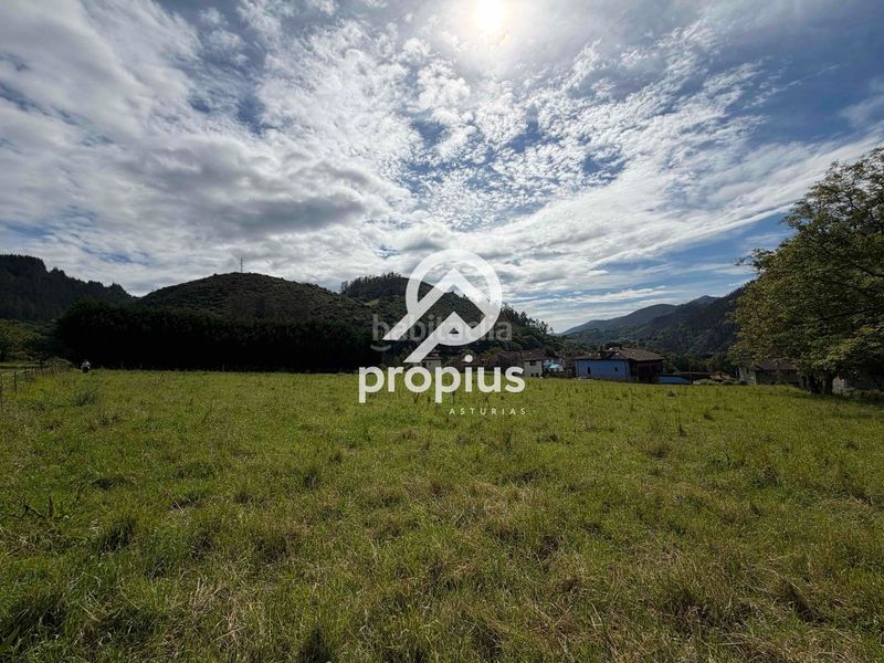 Foto 80823d3f-6e8b-483a-91dd-b45ddb06079b. Finca rústica a Parres