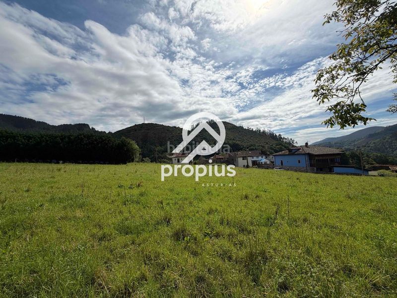 Foto 97d92ab3-8051-4970-b3ab-4434e7290d68. Finca rústica a Parres