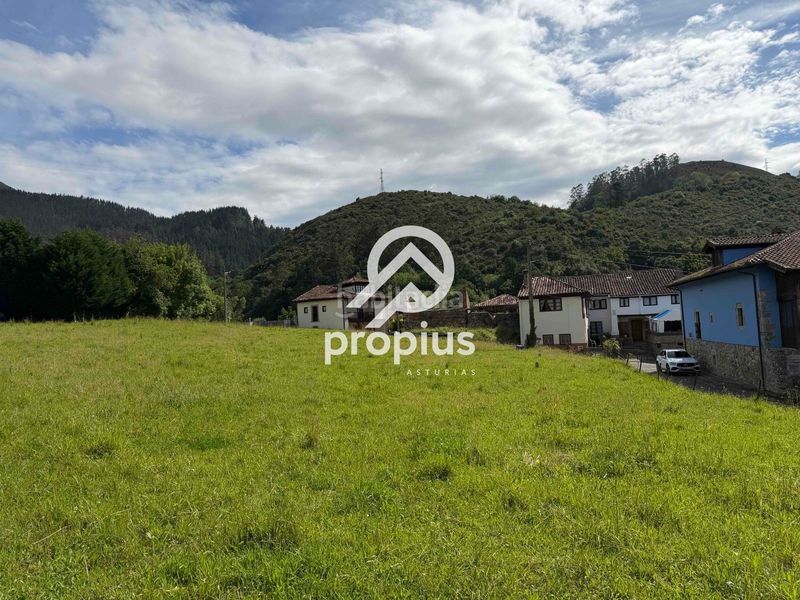 Foto a9b99737-20e4-405e-a477-ec2e03f1884b. Finca rústica a Parres