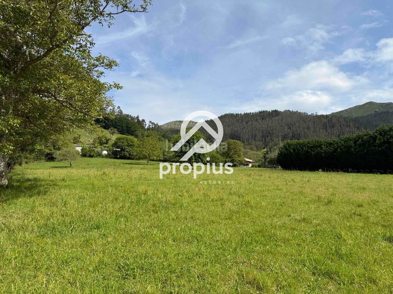 Foto b724d7a0-9c22-4b64-b75d-b5474cc068cd. Finca rústica a Parres