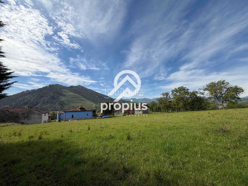 Foto ba933a8b-47f3-4bcd-9ff7-e4a8322a5480. Finca rústica a Parres