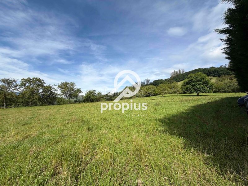 Foto c13eebf3-0a43-4041-85e2-303948308df6. Finca rústica a Parres