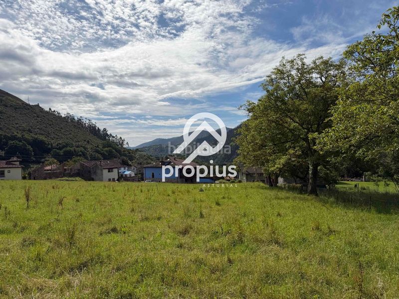Foto c8a22702-5ea5-42dc-9829-be0a1ec28989. Finca rústica a Parres