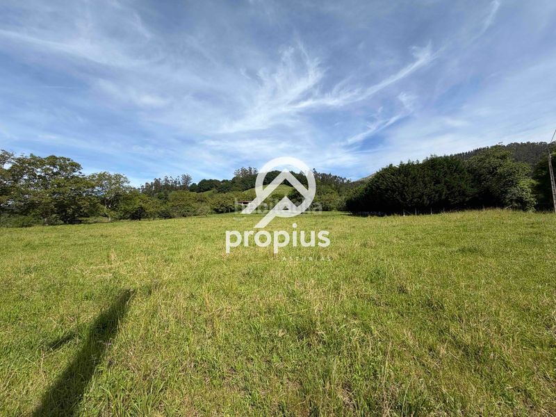 Foto ee2a04e6-5106-4c66-95f9-5b5ae8dcde5b. Finca rústica a Parres