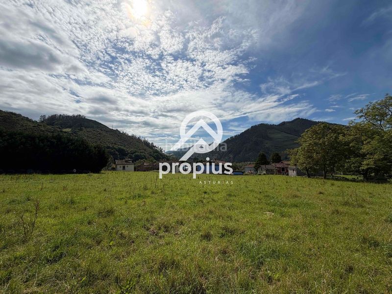 Foto f8040710-6500-44e6-ba65-58822136ab47. Finca rústica a Parres