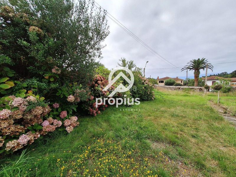 Foto a6c98787-5337-4302-8637-fd1b11679034. Casa adossada amb calefacció a Pría-Nueva-Hontoria-Naves Llanes