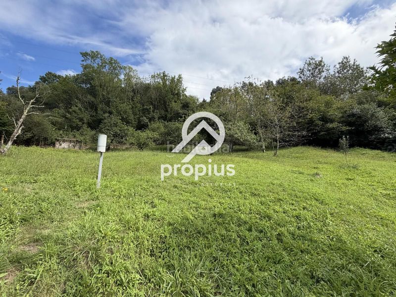 Foto 5fd18fe3-fb6e-4977-886b-dcbbaddd7639. Finca rústica a barredo 13 a Ribadesella