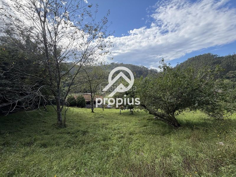 Foto 8a112f5e-07eb-4058-ab70-989a668790f4. Finca rústica a barredo 13 a Ribadesella