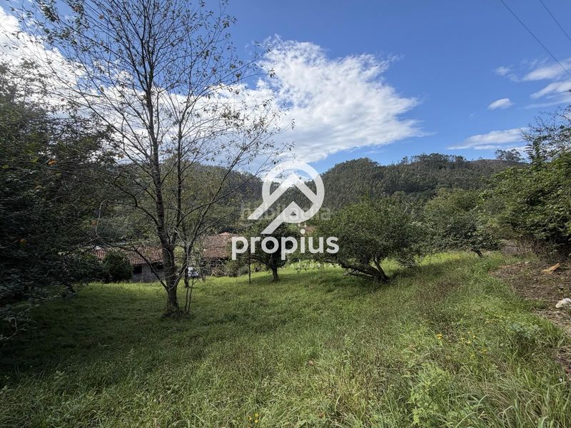 Foto a9146e8a-053c-4f2d-abfa-44b7de969f04. Finca rústica a barredo 13 a Ribadesella