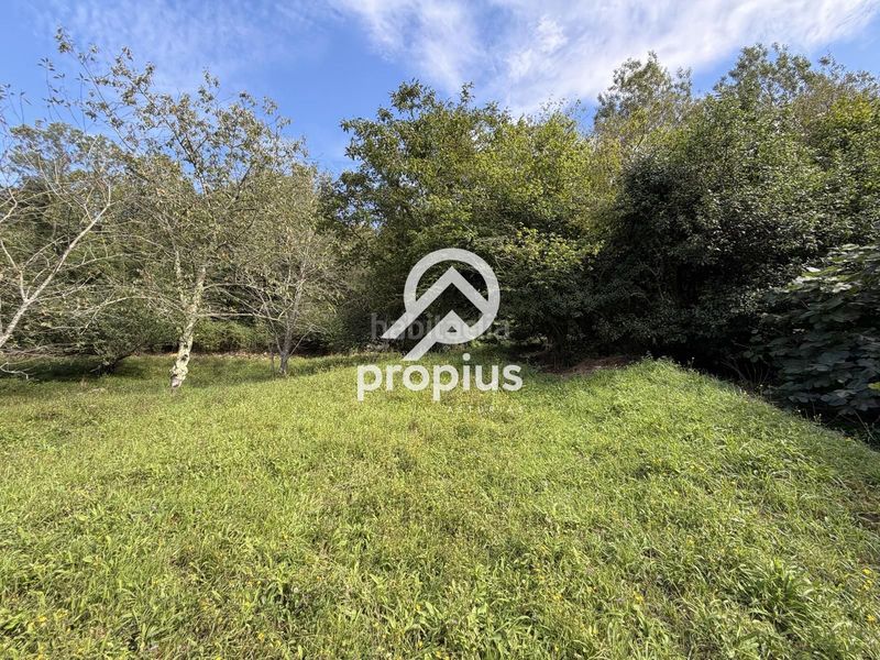 Foto e01e571f-dada-42ff-876c-15b0e0c653d2. Finca rústica a barredo 13 a Ribadesella