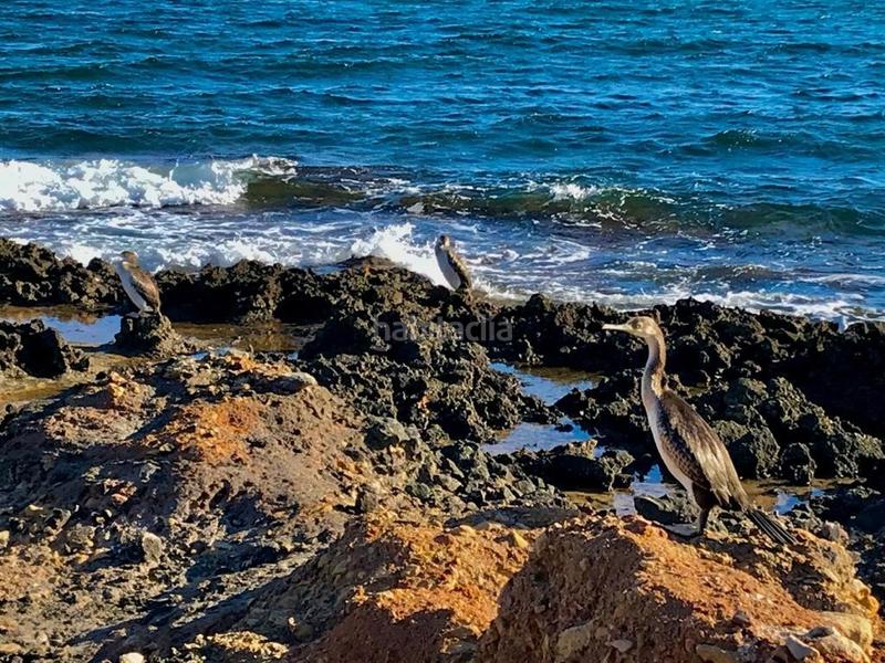 Foto aa5fea71-459f-4976-85f2-99ee62bfe432. Chalet avec chauffage parking piscine dans El Montgó Dénia