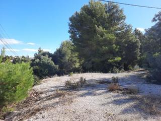 Terreny residencial a El Montgó. Parcela en zona corral de calafat