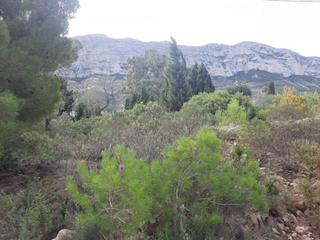 Terreny residencial a El Montgó. Parcela con vistas en galeretes