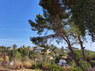 Terreny residencial a El Montgó. Parcela en el montgó