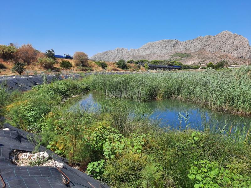 Foto 5dc6a288-74ce-485f-bc15-da3c76dfa4a4. Masía finca rústica con siete apartamentos independientes en Ondara