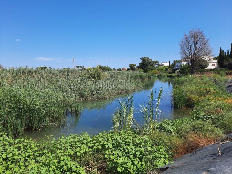 Foto 6a4fffcf-b0de-4d45-8ef8-a25503665c70. Masía finca rústica con siete apartamentos independientes en Ondara