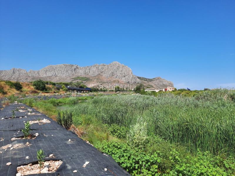 Foto f0262296-6256-4b5e-9965-5480fb7da12b. Masía finca rústica con siete apartamentos independientes en Ondara