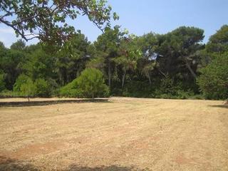Terreny residencial a La Xara-La Sella. Gran terreno rústico de 20.000 m en torrecarrals