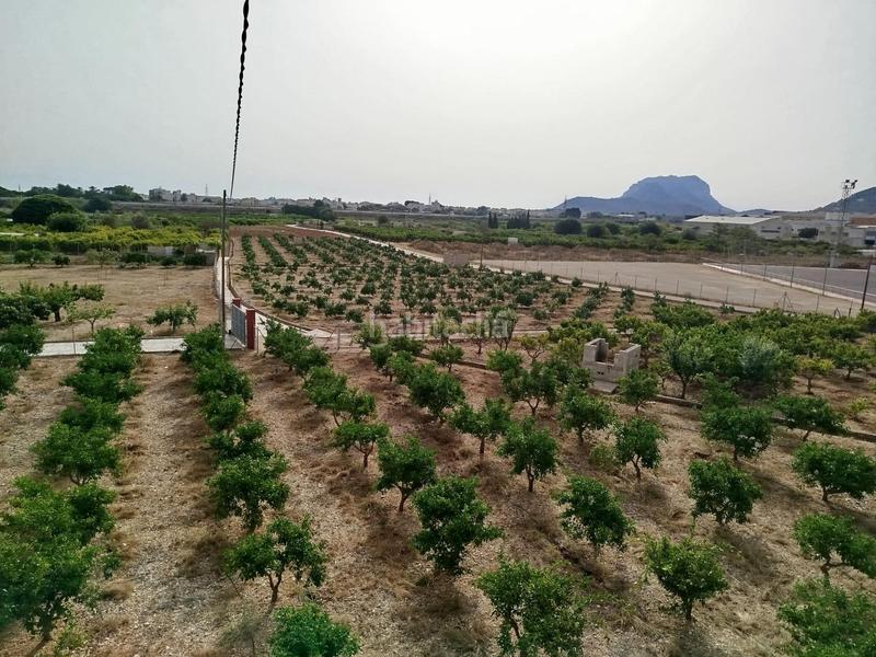 Foto 70b62a98-cbe2-46c5-a59d-f397c5d0c811. Masía gran finca rústica en beniarbeig en Ondara