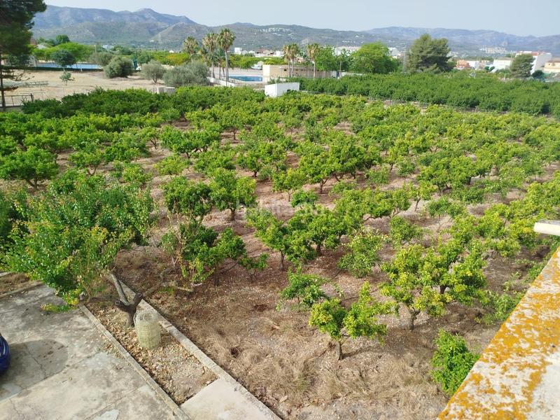 Foto 80d323e5-c6fb-4889-a530-3ac19ef159e8. Masía gran finca rústica en beniarbeig en Ondara