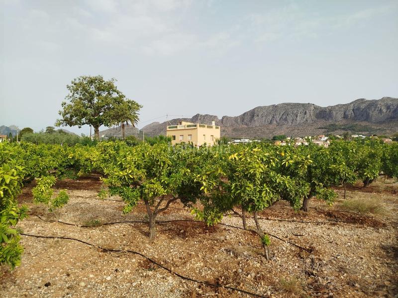 Foto f281afc4-8c9a-4621-8c3a-57665c48b8ba. Masía gran finca rústica en beniarbeig en Ondara