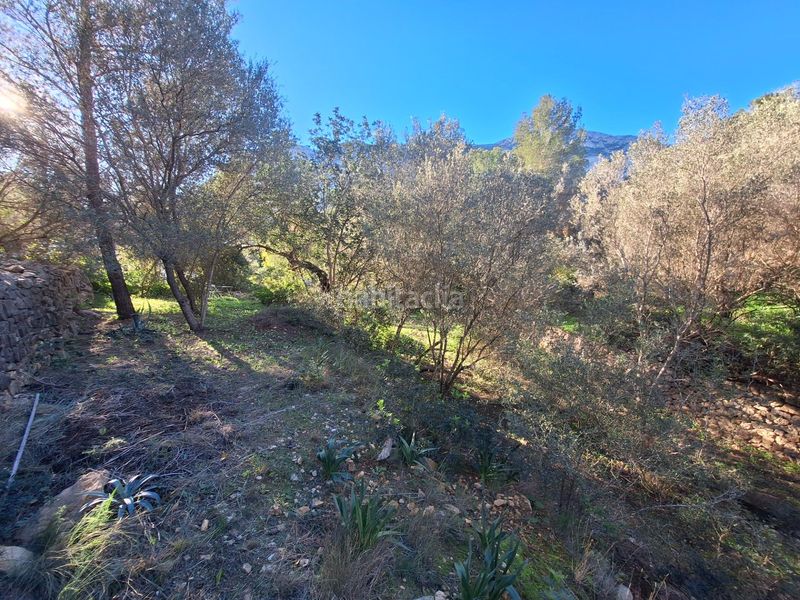 Foto 0db8fd2a-7a92-437c-837a-82008cd779ea. Terreny residencial a El Montgó Dénia