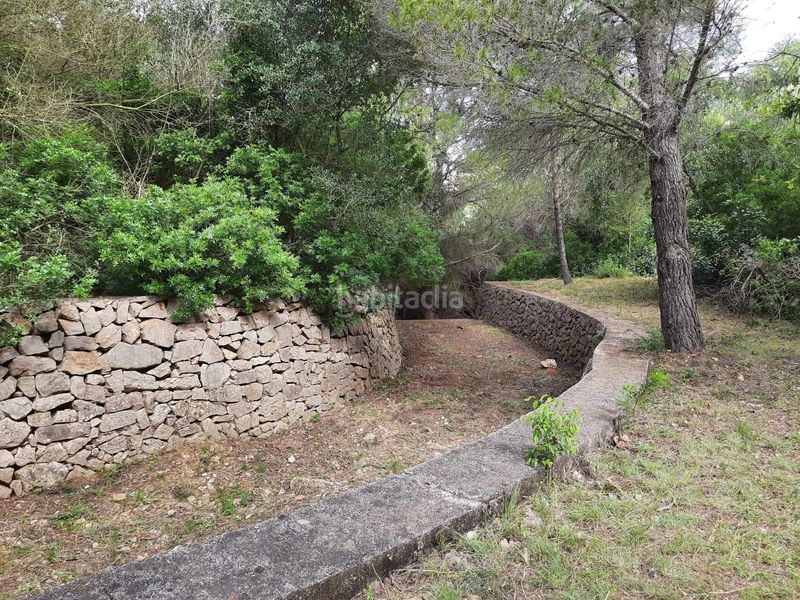 Foto 56d89209-abf2-4863-92e7-33c0b66a991d. Terreny residencial a El Montgó Dénia