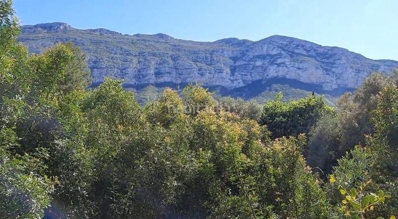 Foto d502c7ca-f8fd-4fc6-9faf-59da5bc53c75. Terrain résidentiel dans El Montgó Dénia