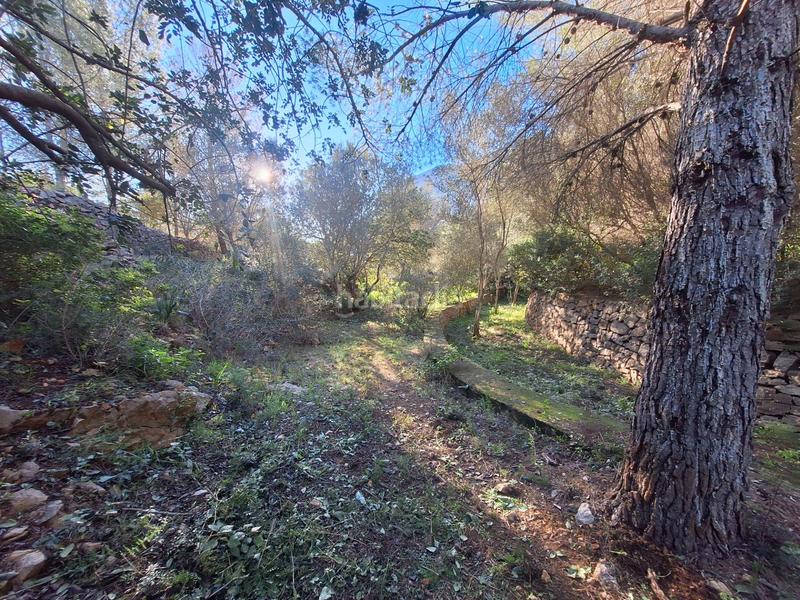Foto 1503d266-cce8-48a3-a6a3-a1a4ed3924ab. Terrain résidentiel dans El Montgó Dénia