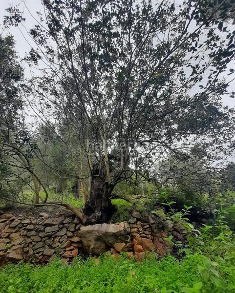 Foto 155830e7-93da-4f2e-a49d-532f395ce12d. Terrain résidentiel dans El Montgó Dénia