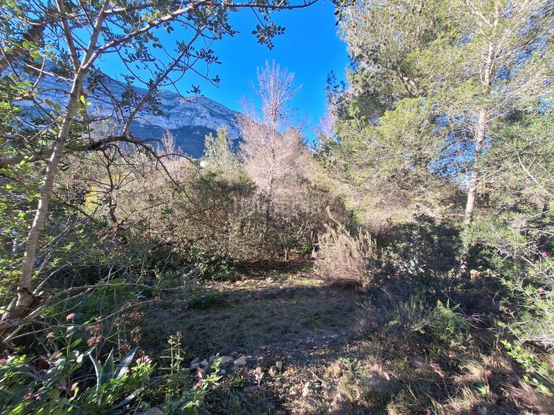 Foto 1779960f-0dcd-409b-8e28-4814bb1f7add. Terreny residencial a El Montgó Dénia