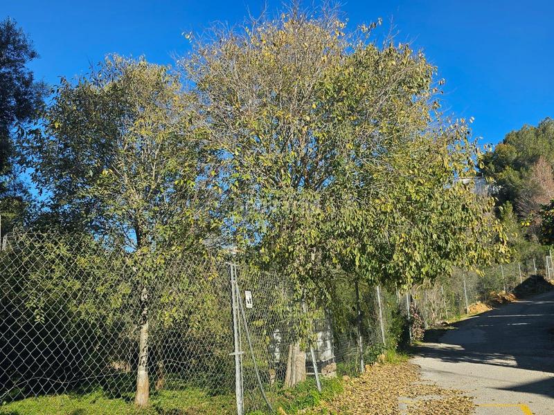 Foto 695b197c-c800-4cdf-a6b4-2d5aa9d8ec07. Terrain résidentiel dans El Montgó Dénia
