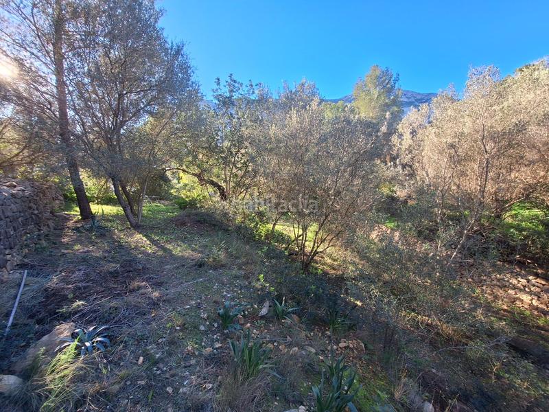 Foto 7c6dde63-8a37-4037-967b-89d2b9bc9f08. Terreny residencial a El Montgó Dénia
