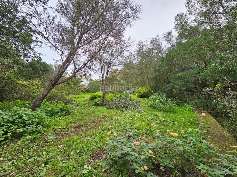 Foto 8637104a-c035-4685-a6c1-12fe269e97bd. Terrain résidentiel dans El Montgó Dénia