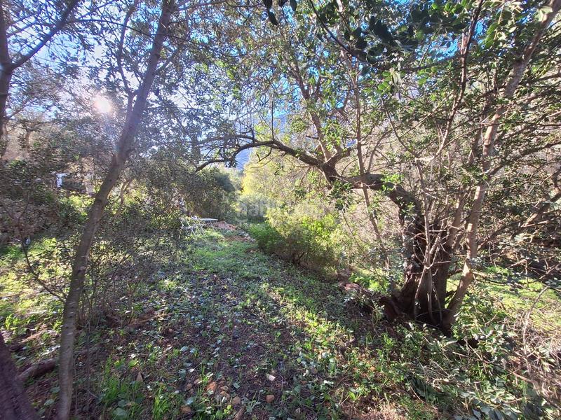 Foto dd4d3f64-9e41-41c7-91a8-b67bfb38babe. Terreny residencial a El Montgó Dénia
