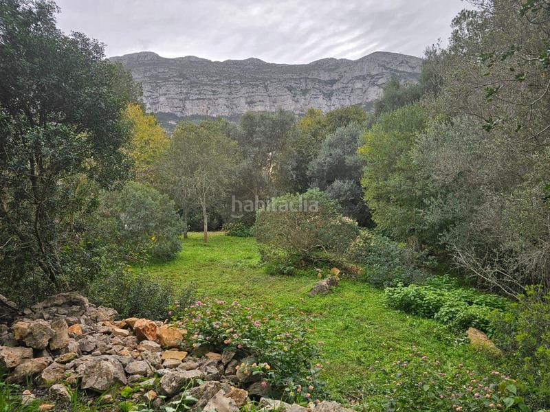 Foto efeff435-bdbb-403a-aa24-693bc90d097e. Terreny residencial a El Montgó Dénia