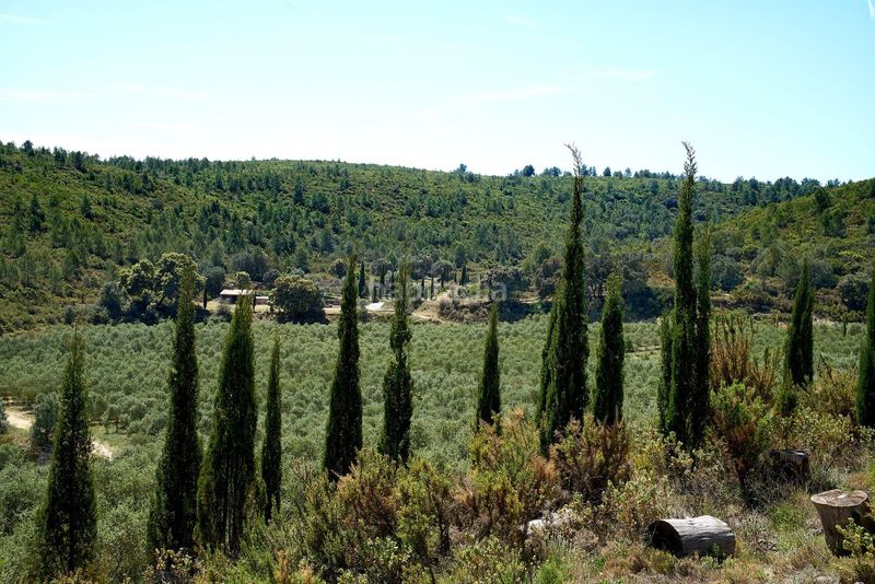 Foto b460d772-87de-40ac-9e4c-4e139e536131. Masia amb calefacció aparcament piscina a Enguera