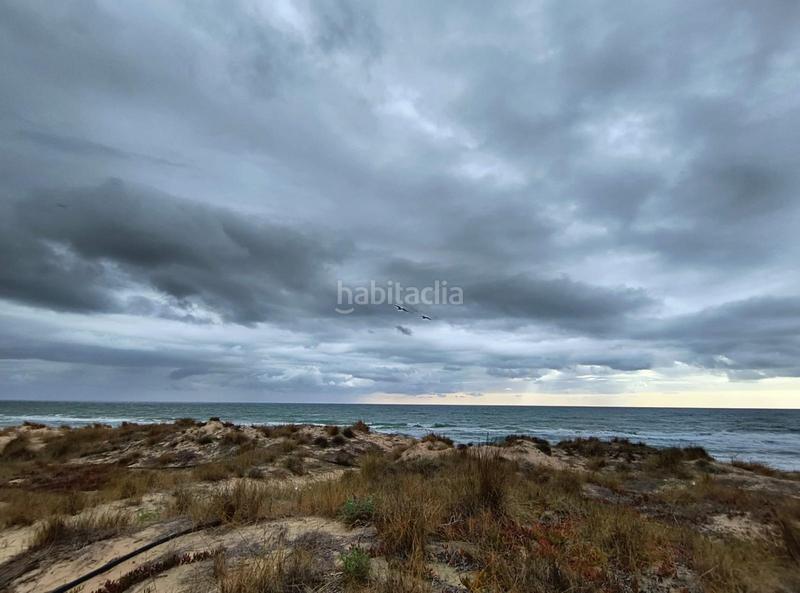 Foto 001a7905-e513-4882-856e-6a789ba6bf9d. Masía espectacular finca señorial con gran terreno de 24 hectáreas en primera línea de playa en Cullera