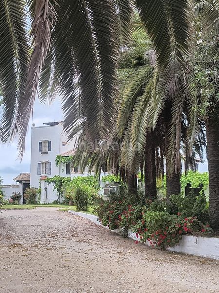 Foto 1f35878c-03ce-4ccd-9f29-11a8028869f4. Masia amb aparcament a El Dossel - Mareny de San Lorenzo Cullera