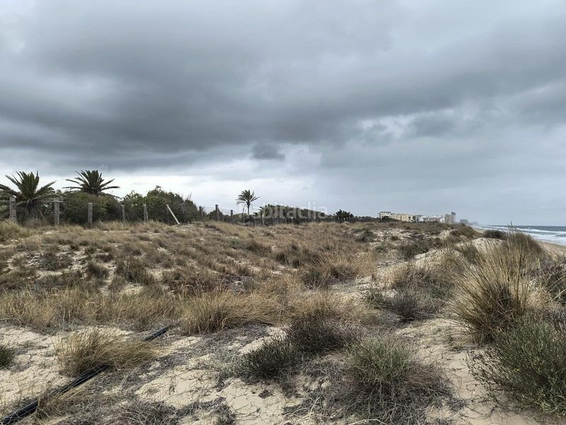Foto 21b23fa3-0fb5-4c8e-a0e8-472e7dcf9a13. Masia amb aparcament a El Dossel - Mareny de San Lorenzo Cullera