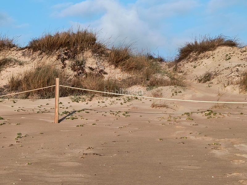 Foto 384ab7c5-0592-441e-8fe6-71ada87b67ad. Masia amb aparcament a El Dossel - Mareny de San Lorenzo Cullera