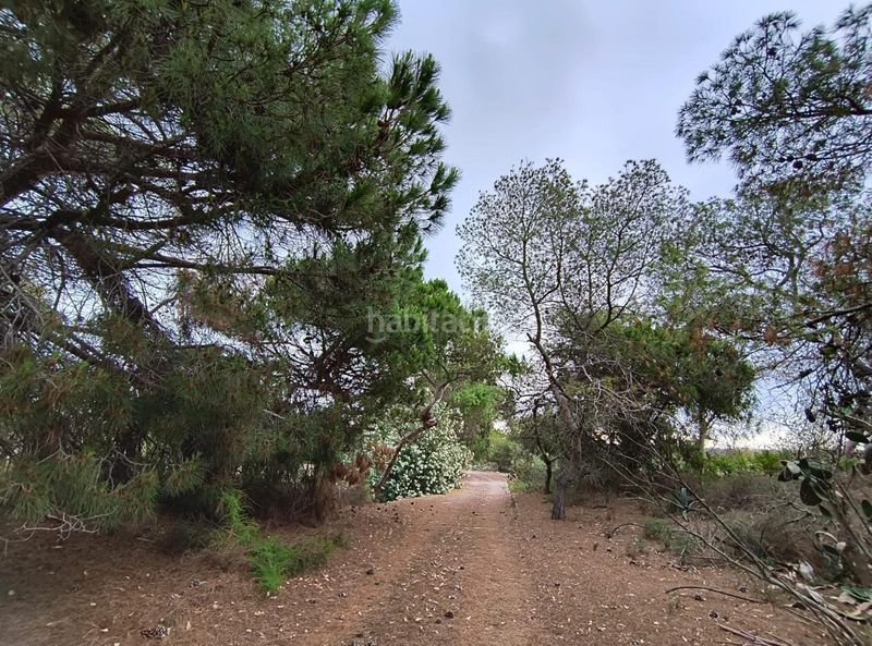 Foto 53c0ba07-f58e-48f8-9bdd-d99fe3eeddc3. Masia amb aparcament a El Dossel - Mareny de San Lorenzo Cullera