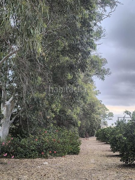 Foto 5b03ce31-e6ae-4e26-ab5d-9e02789b3f95. Masia amb aparcament a El Dossel - Mareny de San Lorenzo Cullera