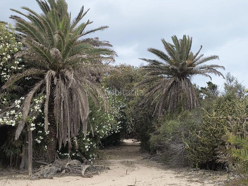 Foto 7ca4c517-7bea-4ca2-8b0d-85c4d109c4ae. Masia amb aparcament a El Dossel - Mareny de San Lorenzo Cullera