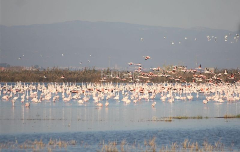 Foto b546452c-a78f-490b-900a-775a1164b130. Masia amb aparcament a El Dossel - Mareny de San Lorenzo Cullera