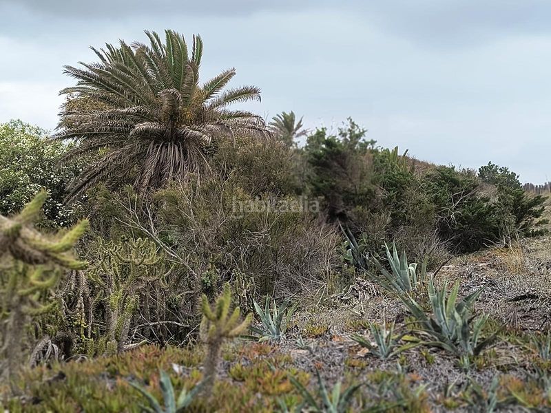 Foto c67c54b7-d8a2-4aa3-a9cb-d5d7405ad88e. Masia amb aparcament a El Dossel - Mareny de San Lorenzo Cullera