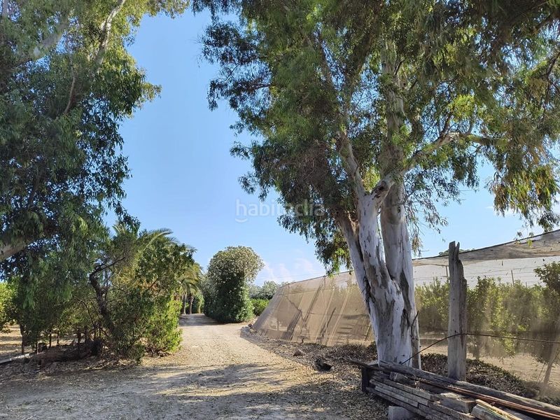 Foto e6bab299-9bdc-4bb1-b973-b12117cf7eec. Masia amb aparcament a El Dossel - Mareny de San Lorenzo Cullera