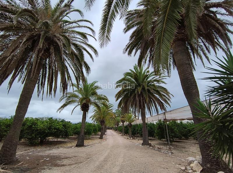 Foto e715bb09-2cee-46a7-8a3e-d5a9e4d1ab21. Masía espectacular finca señorial con gran terreno de 24 hectáreas en primera línea de playa en Cullera