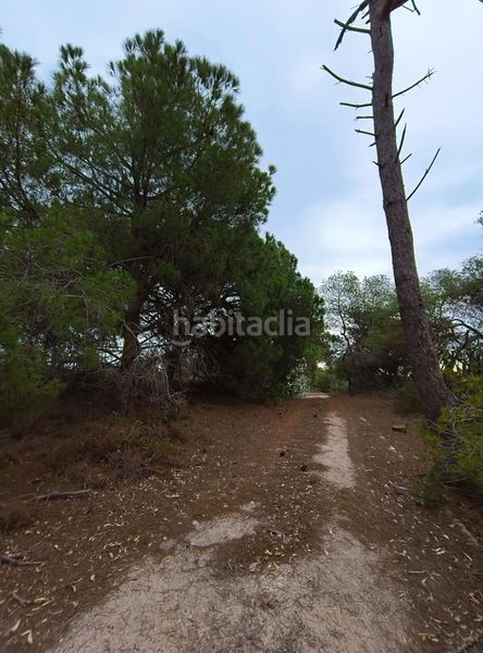 Foto f9042460-1144-4caf-b3c4-409b7fec7919. Masia amb aparcament a El Dossel - Mareny de San Lorenzo Cullera