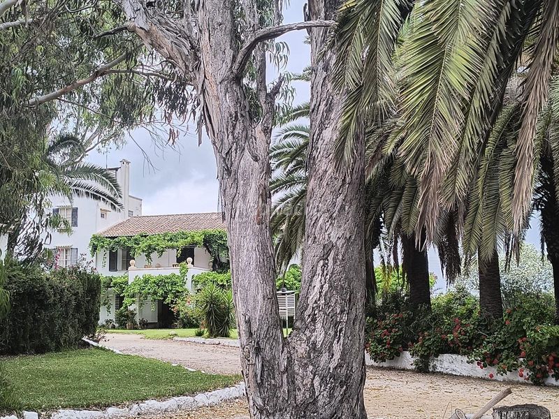 Foto fcd9ec14-3edc-45cb-ae58-b39e13449f39. Masia amb aparcament a El Dossel - Mareny de San Lorenzo Cullera